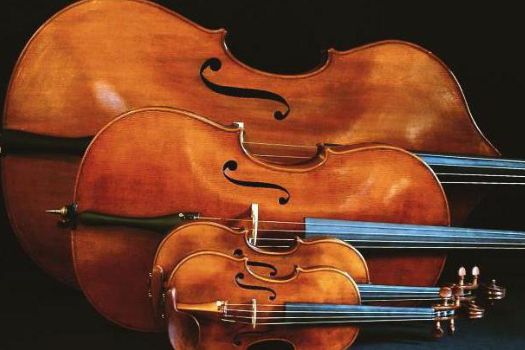 Collégiale Saint-Agricol, Avignon (FR)